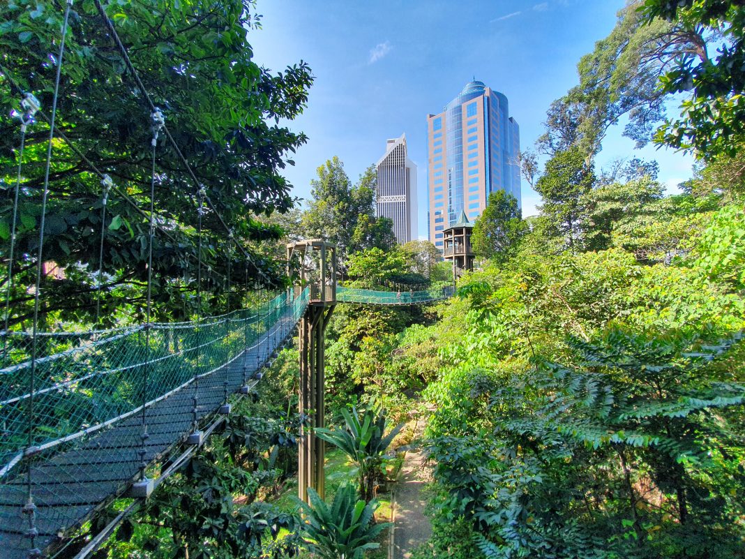 Kuala Lumpur city view KL Forest Eco Park