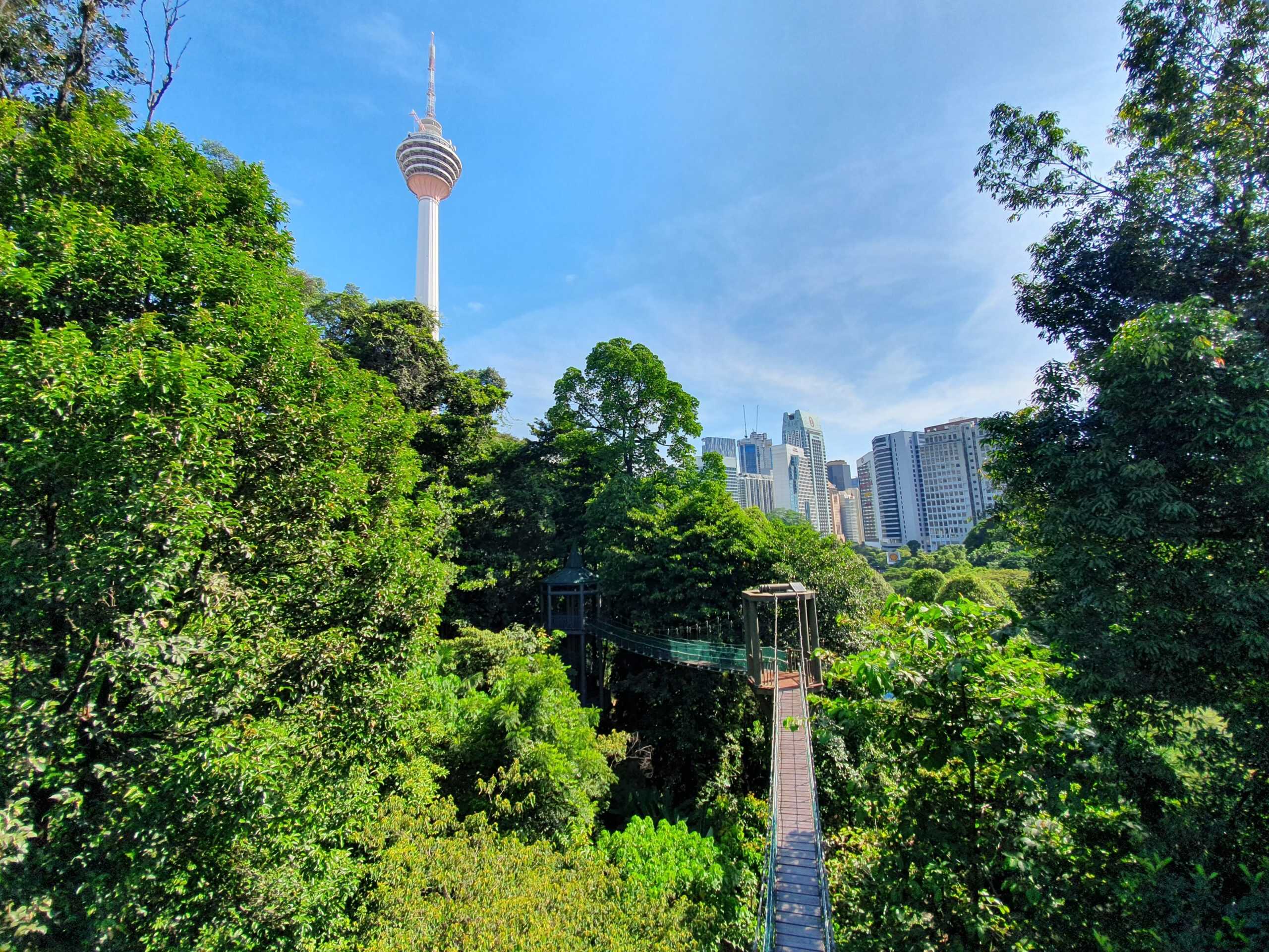 Kuala Lumpur city view KL Forest Eco Park11 3