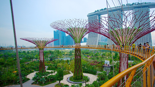 Singapore Gardens By The Bay