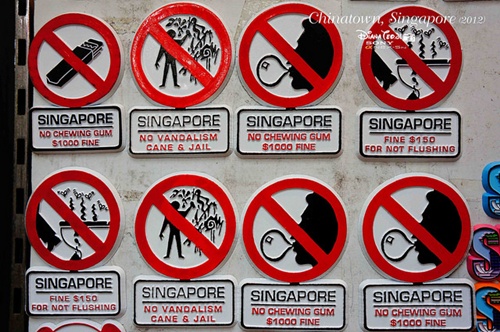 luat le singapore