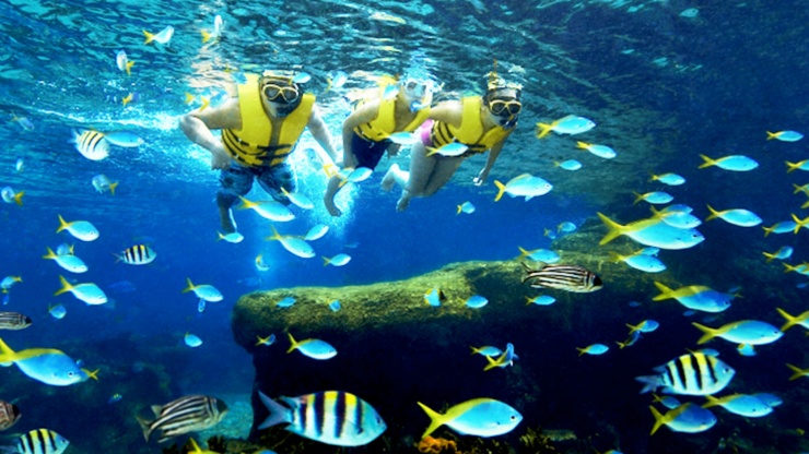Adventure Cove 1