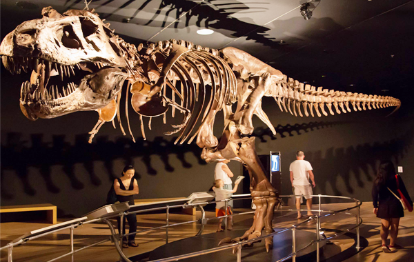 Art Science Museum 2