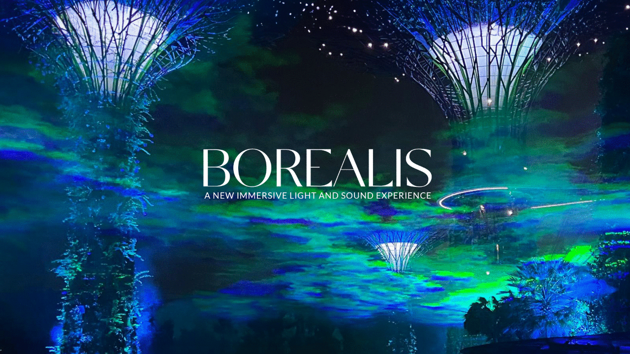 Borealis light installation Gardens by the Bay 1
