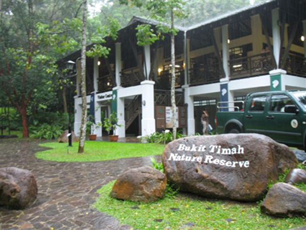 Bukit Timah 3