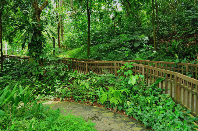 Bukit Timah 6