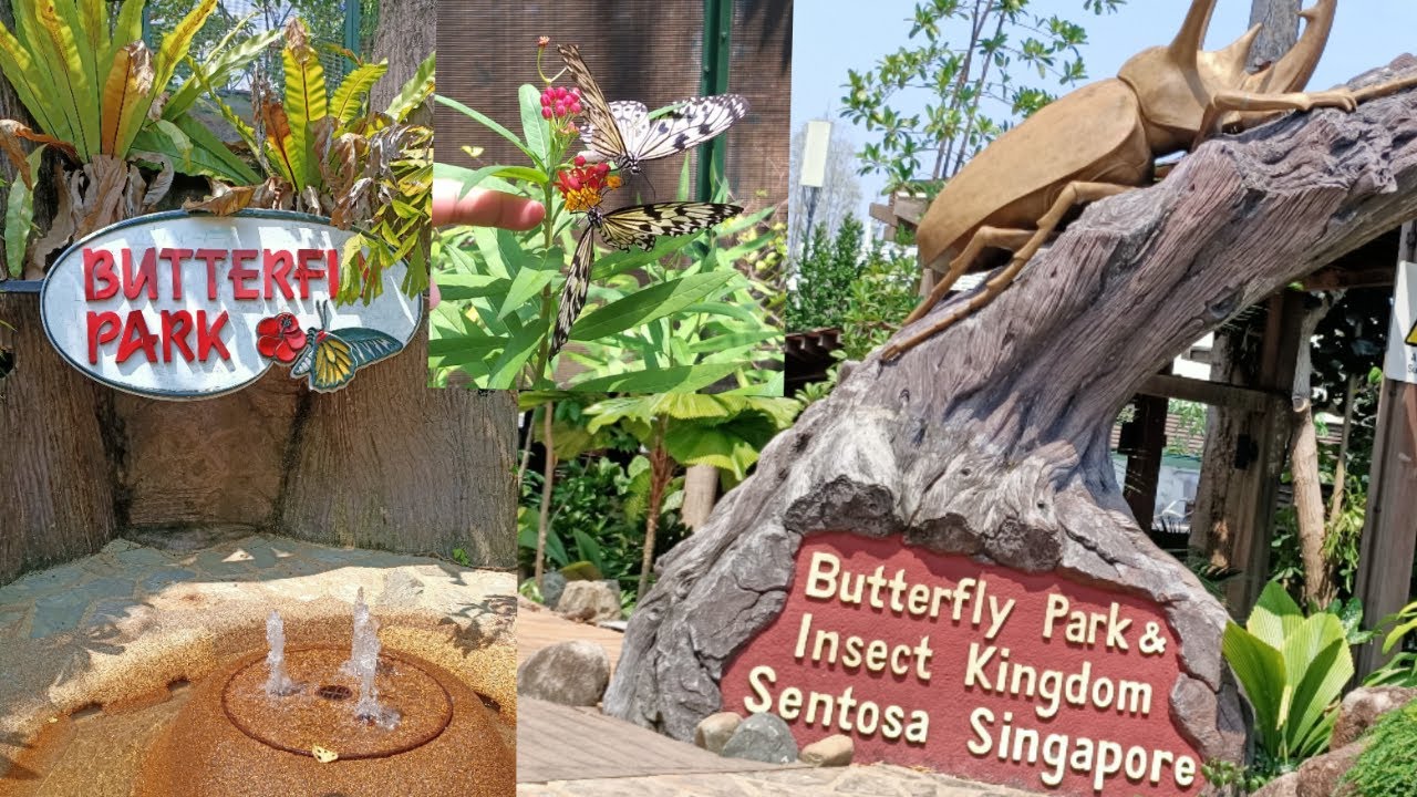 Butterfly Park Sentosa
