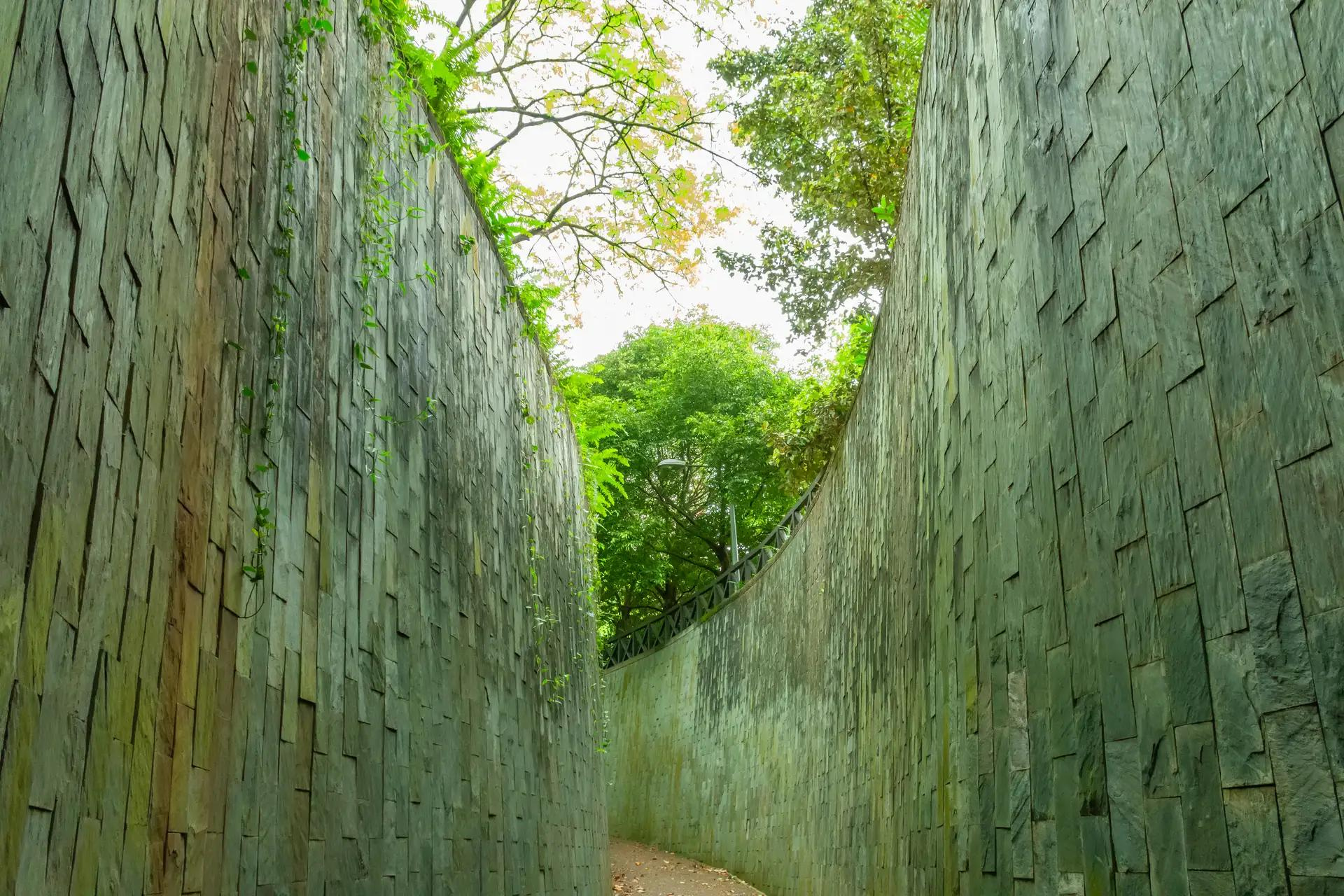 Bức tường rêup