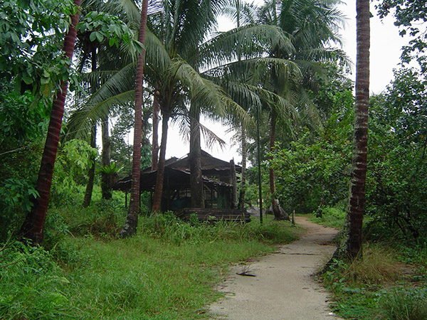 Chek Jawa 4