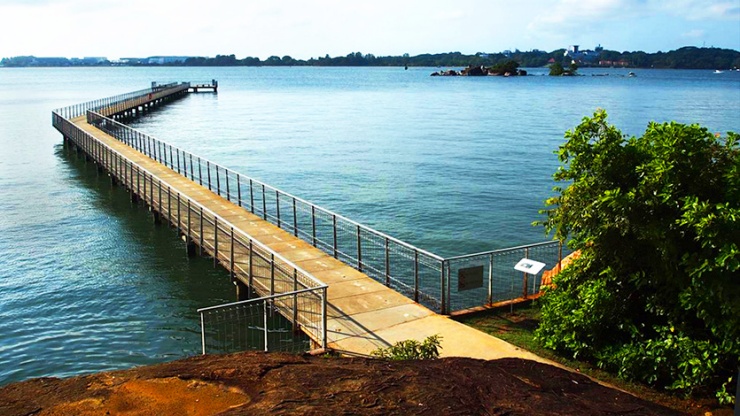 Chek Jawa 6
