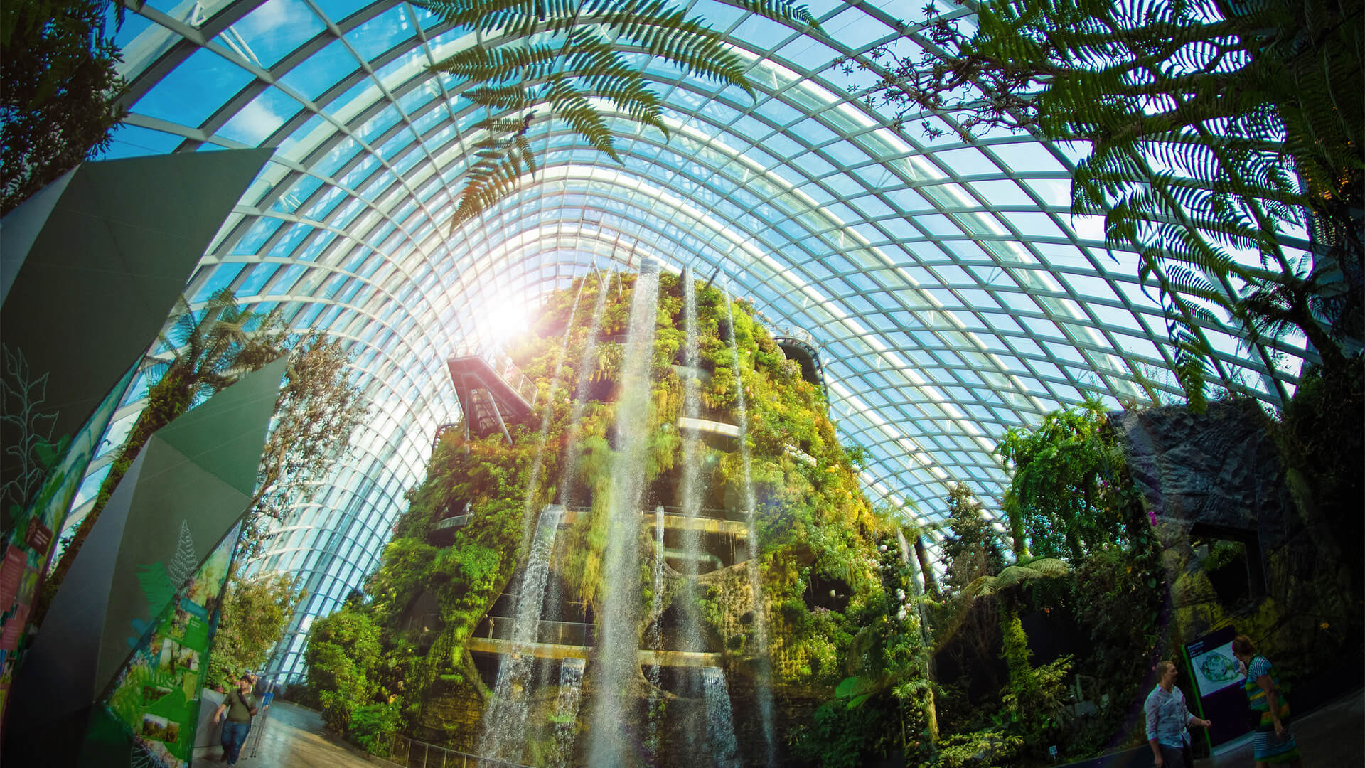 Cloud Forest Gardens by the Bay