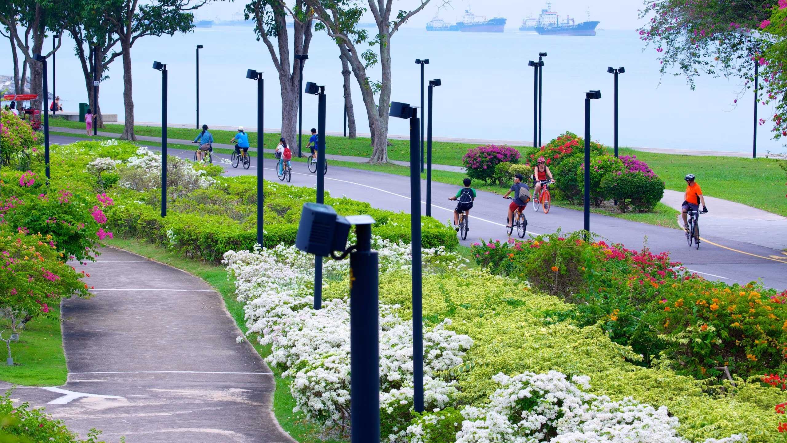 East Coast Park Singapore beach0 1