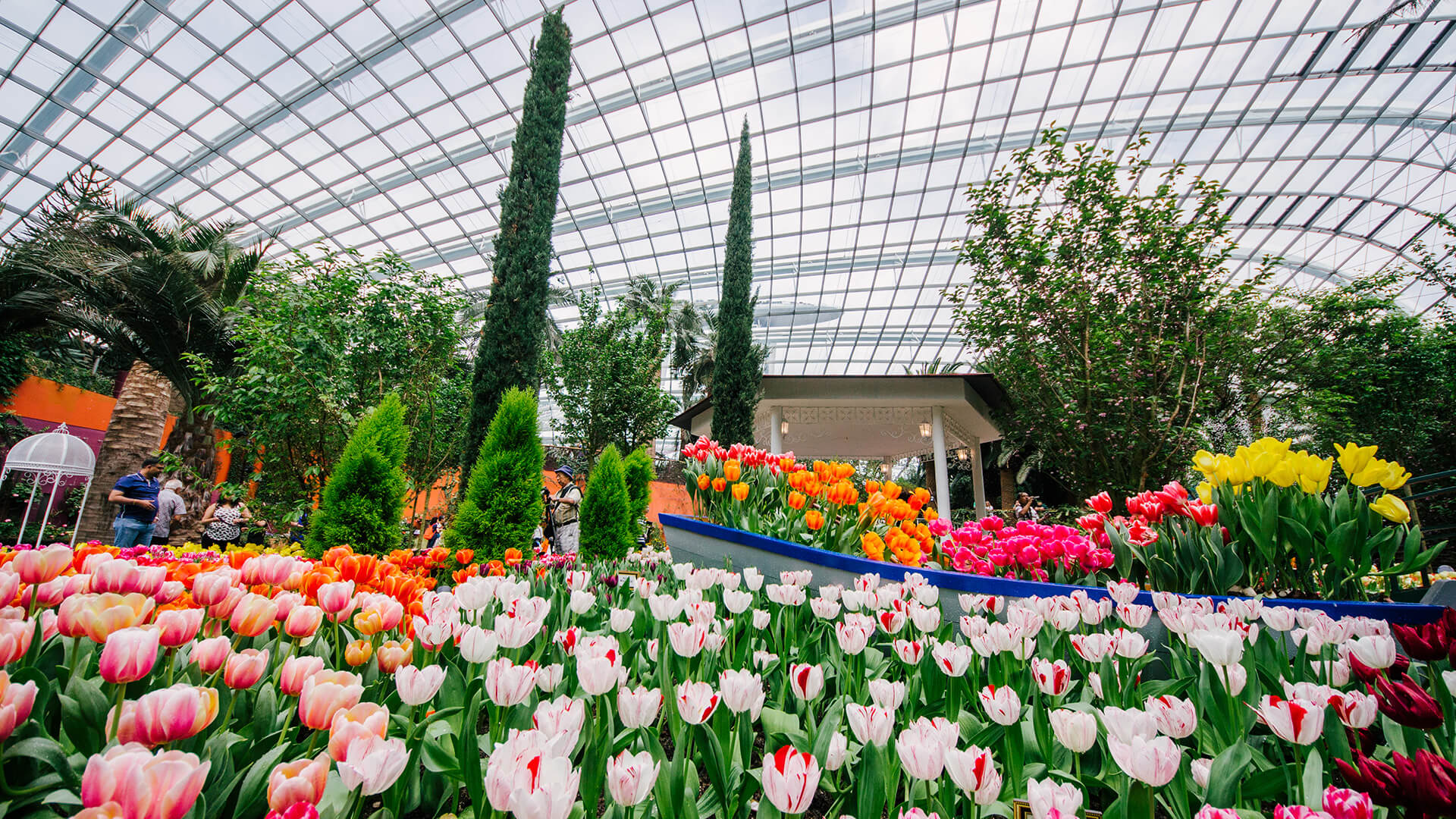 Flower Dome0