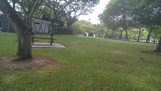 Ho Bedok 1
