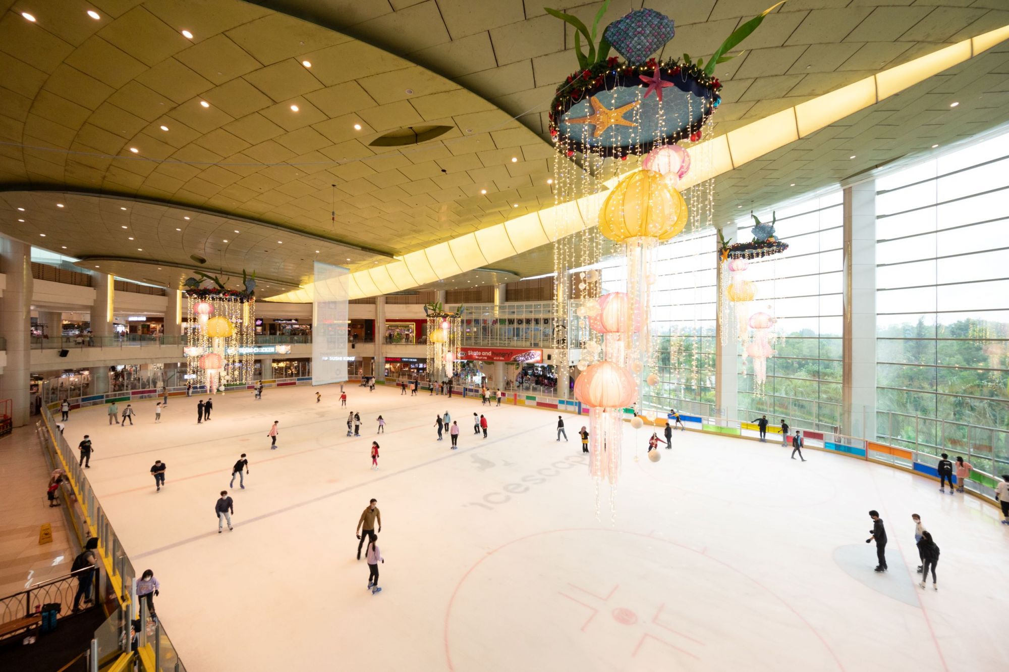 Icescape Ice Rink