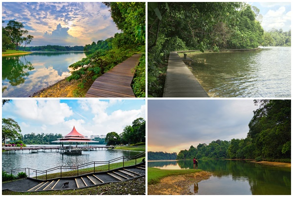 MacRitchie Reservoir 5