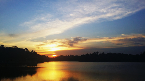 MacRitchie Reservoir 6