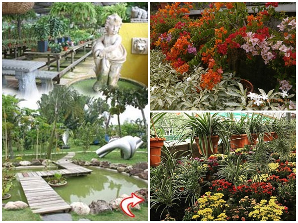 Nyee Phoe Flower Garden 3