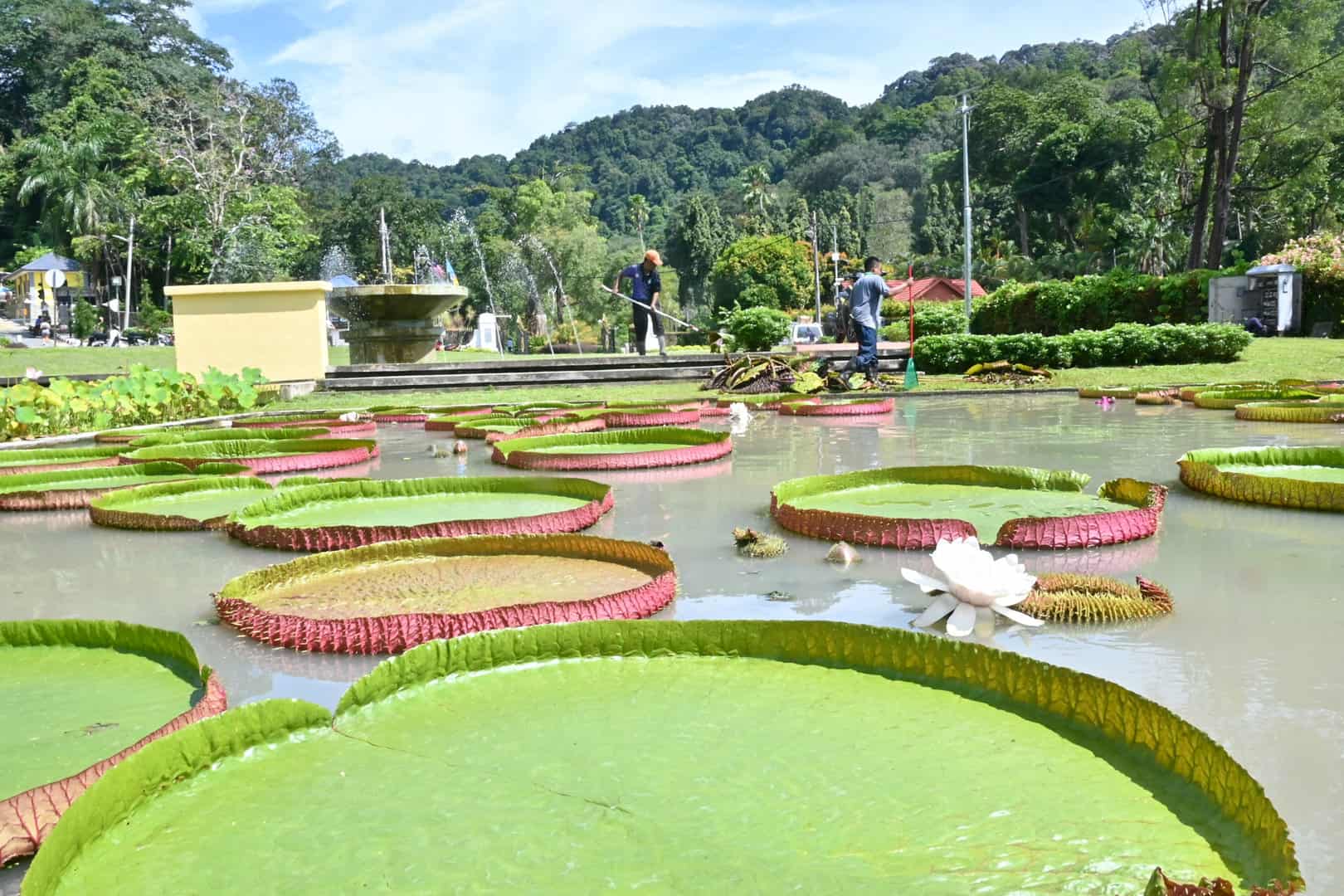 Penang Botanic Gardens