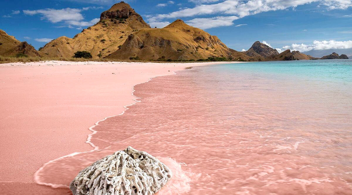 Pink Beach BN