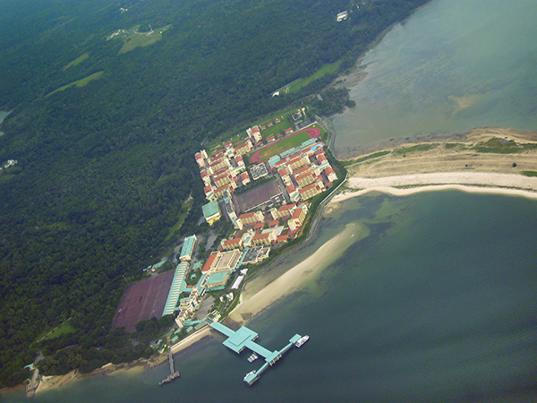 Pulau Tekong 1