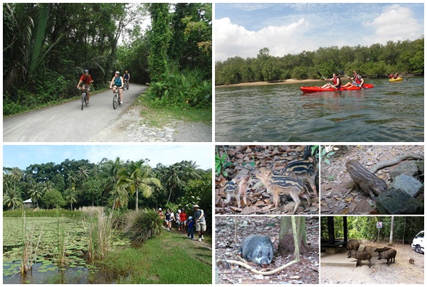 Pulau Ubin 5