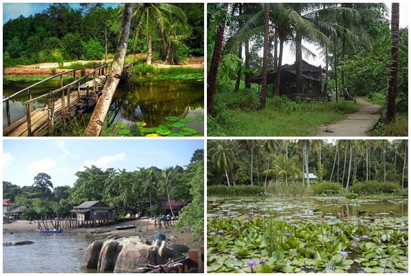 Pulau Ubin 7