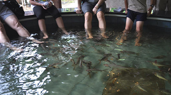Qian Hu vuong quoc ca canh 2