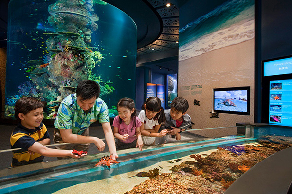S.E.A Aquarium 2