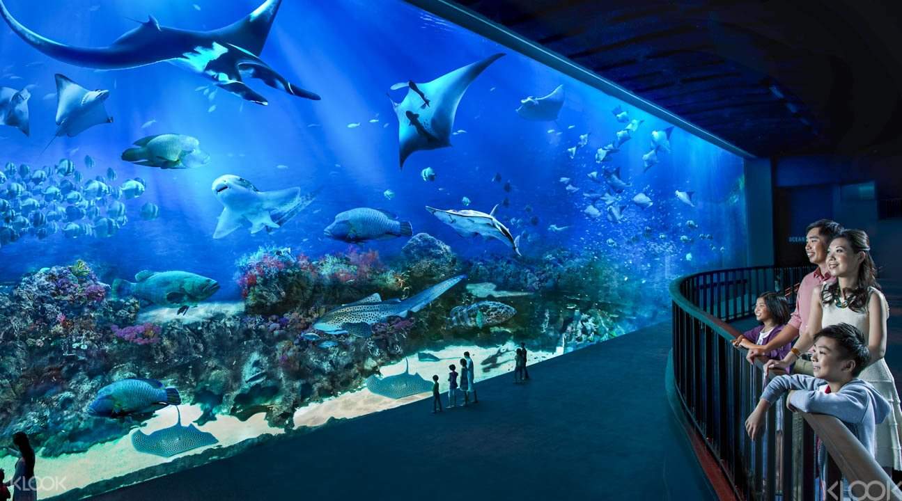 S.E.A Aquarium 5