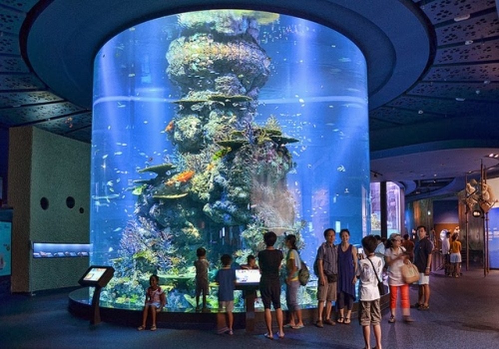 S.E.A Aquarium 6