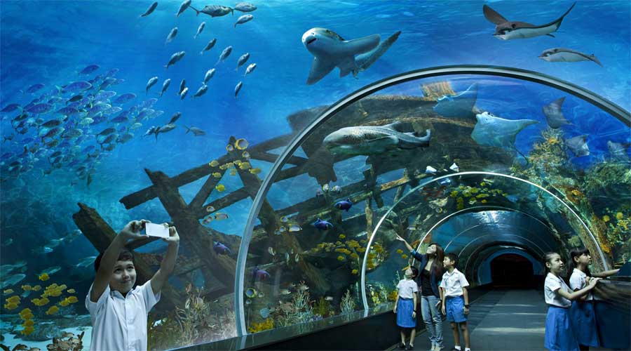 S.E.A Aquarium 7