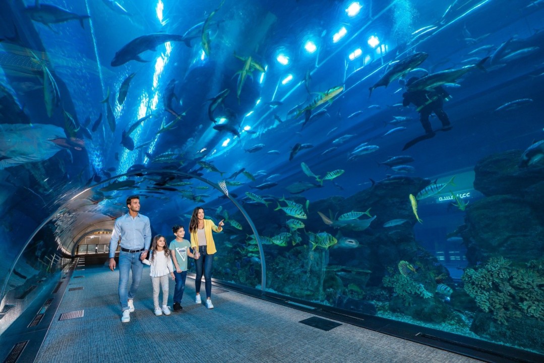 S.E.A Aquarium underwater tunnel