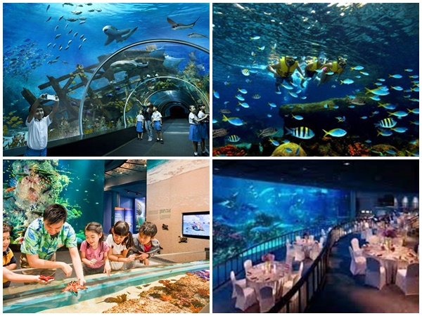 Sentosa 4