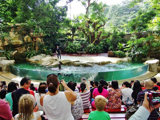 Singapore Zoo 3