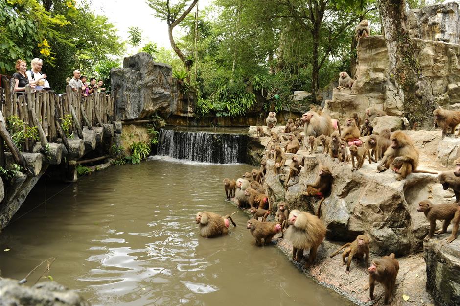 Singapore Zoo 4
