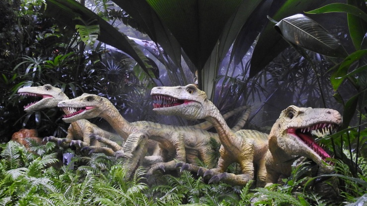 Singapore Zoo 6