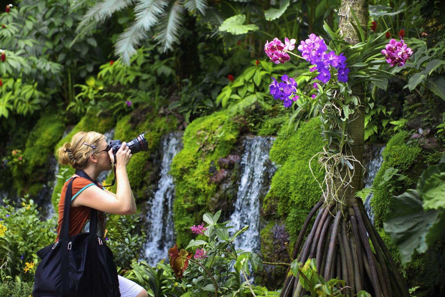 Singapore Botanic Gardens2