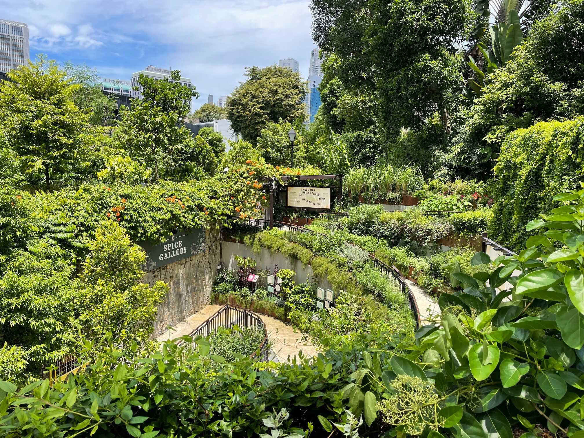 Spice Garden 1