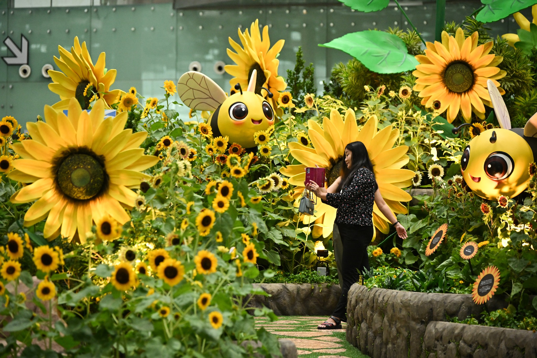 Sunflower exhibition Changi Airport11