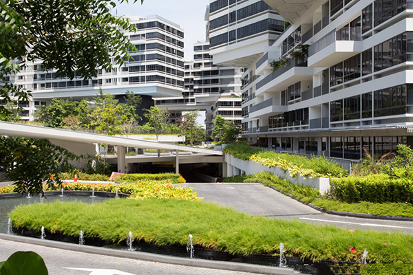 The Interlace 5