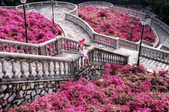 cau thang hoa giay 1
