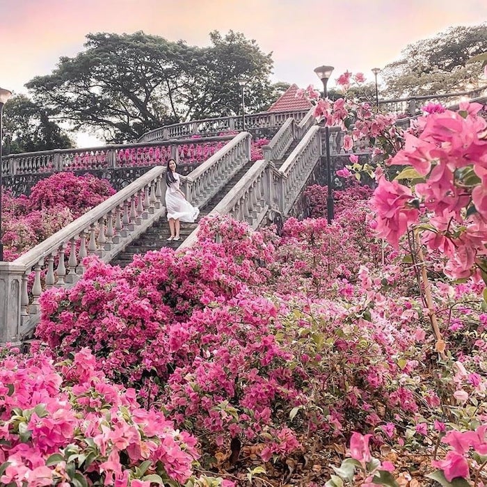 cau thang hoa giay 2