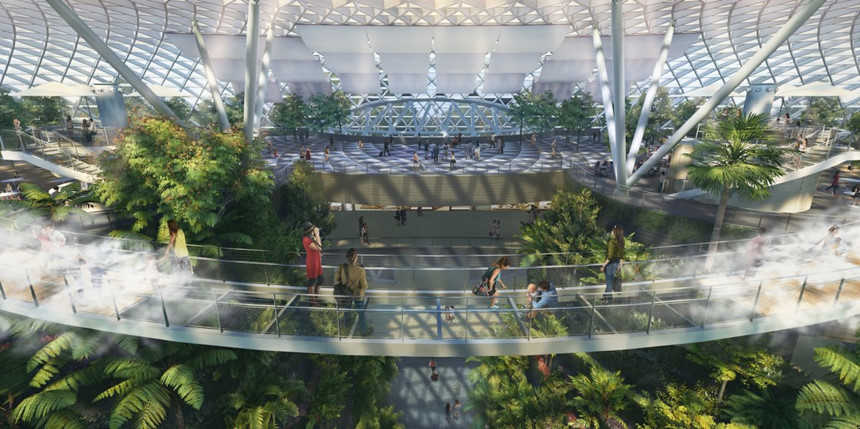 cong vien Canopy 1