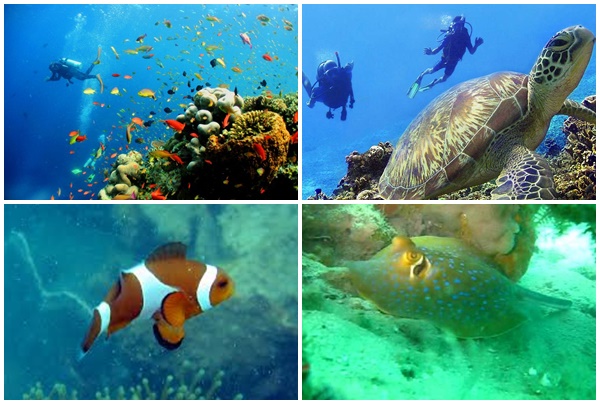 dao Pulau Hantu 2