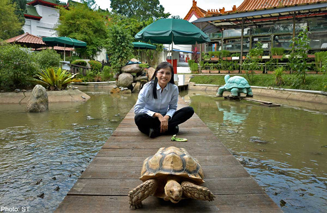 nhung cai nhat the gioi cua singapore 11