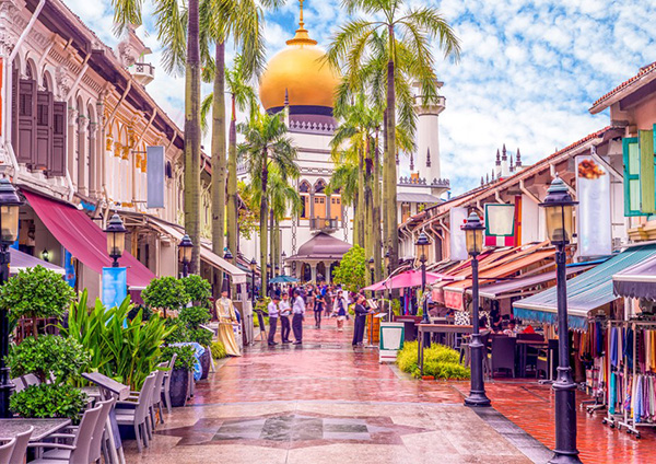 nhung thanh tich ve singapore 12