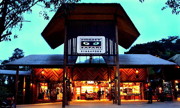 night safari 2