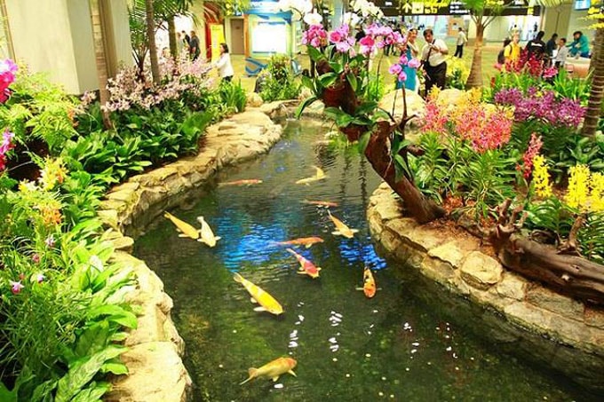 san bay changi 4
