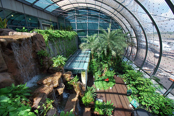 san bay changi 5