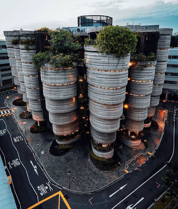 the hive 1
